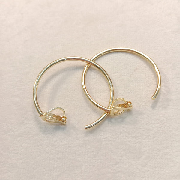 Small Hoop Golden Earrings